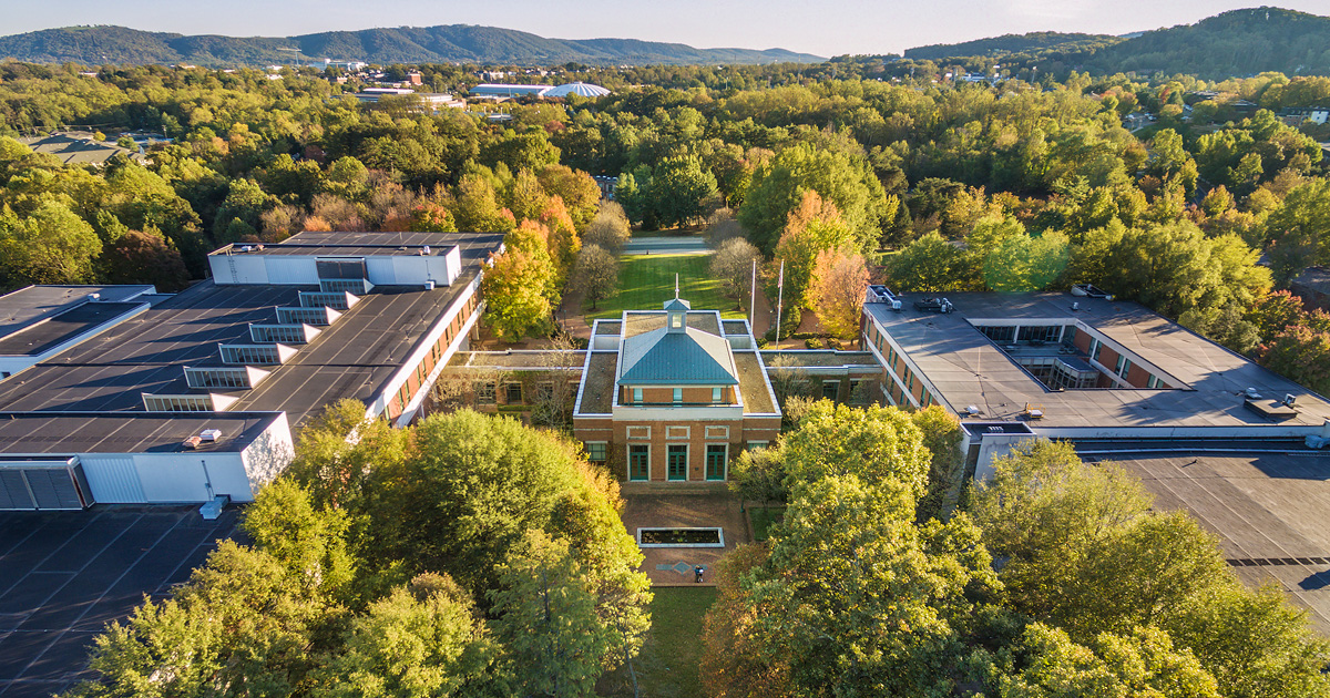 spies garden aerial